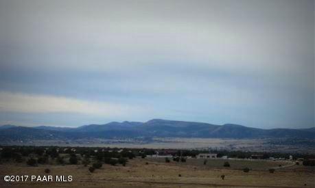 Mountain Views 1
