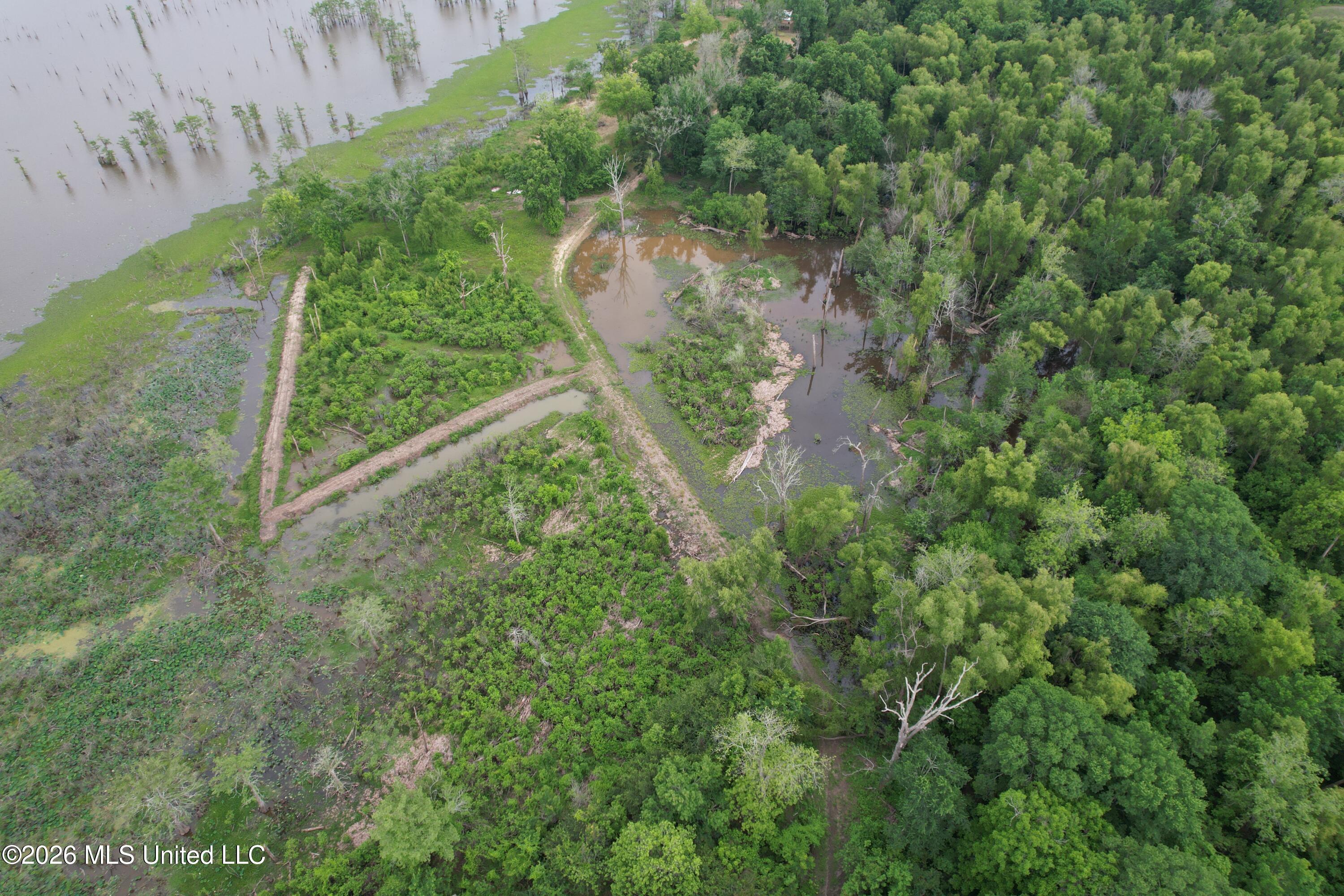 Lake Mary Road Woodville, MS 39669 - Photo 11 of 39 DJI_0968