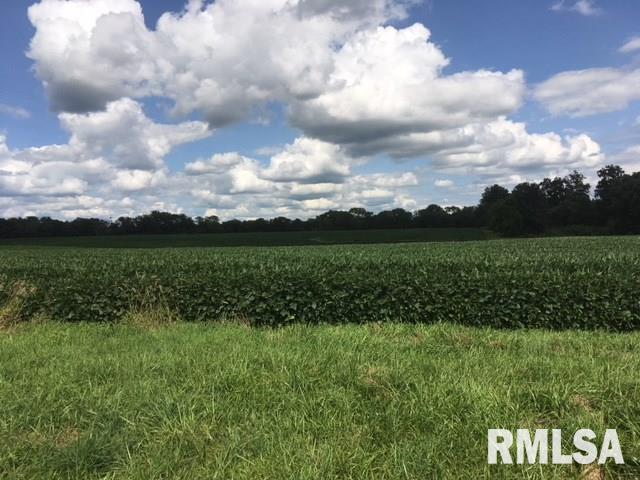 0 King Road Mackinaw, IL 61755 - Photo 1 of 2