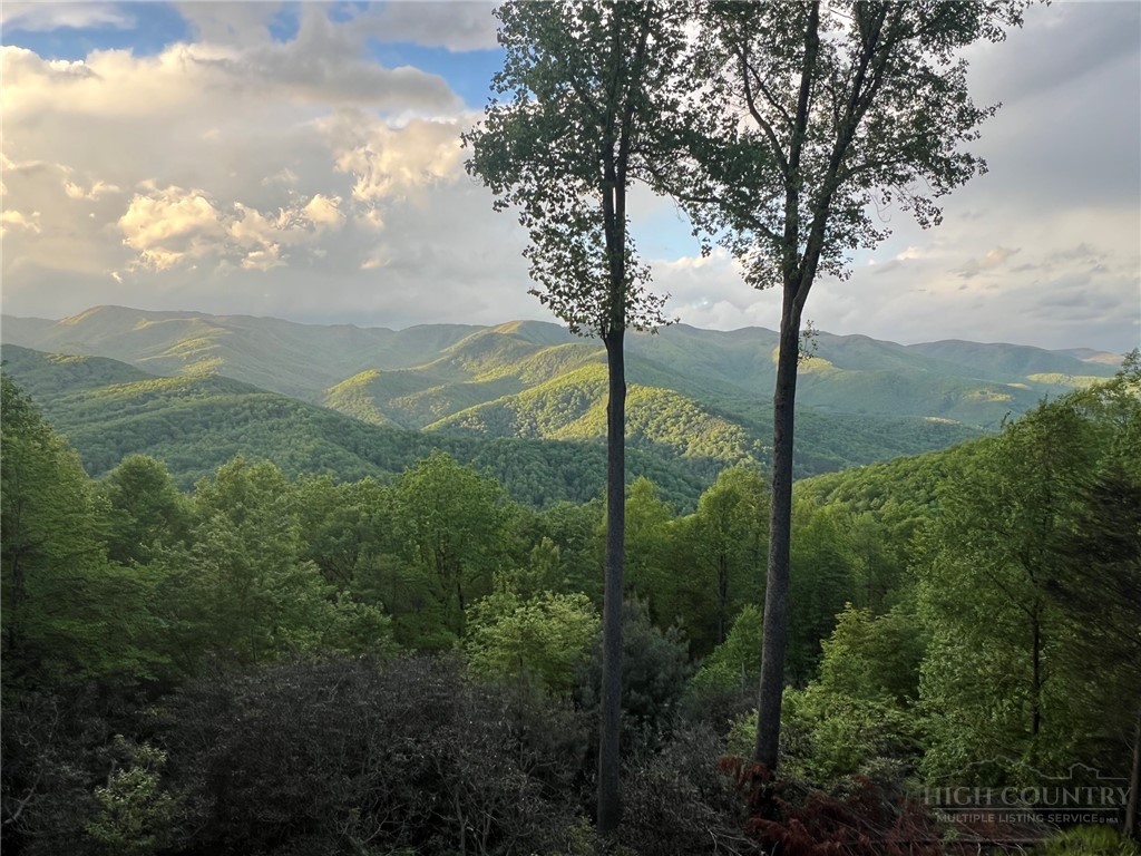 2038 Bell Mountain Road Hays, NC 28635 - Photo 8 of 49