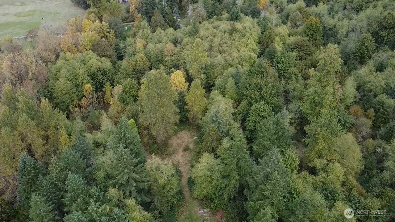 13920 Littlerock Road Southwest Rochester, WA 98579 - Photo 4 of 23 an aerial view of a forest with houses