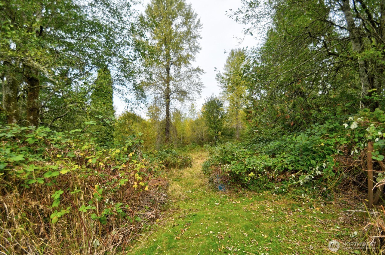13920 Littlerock Road Southwest Rochester, WA 98579 - Photo 7 of 23 a view of a yard with a tree