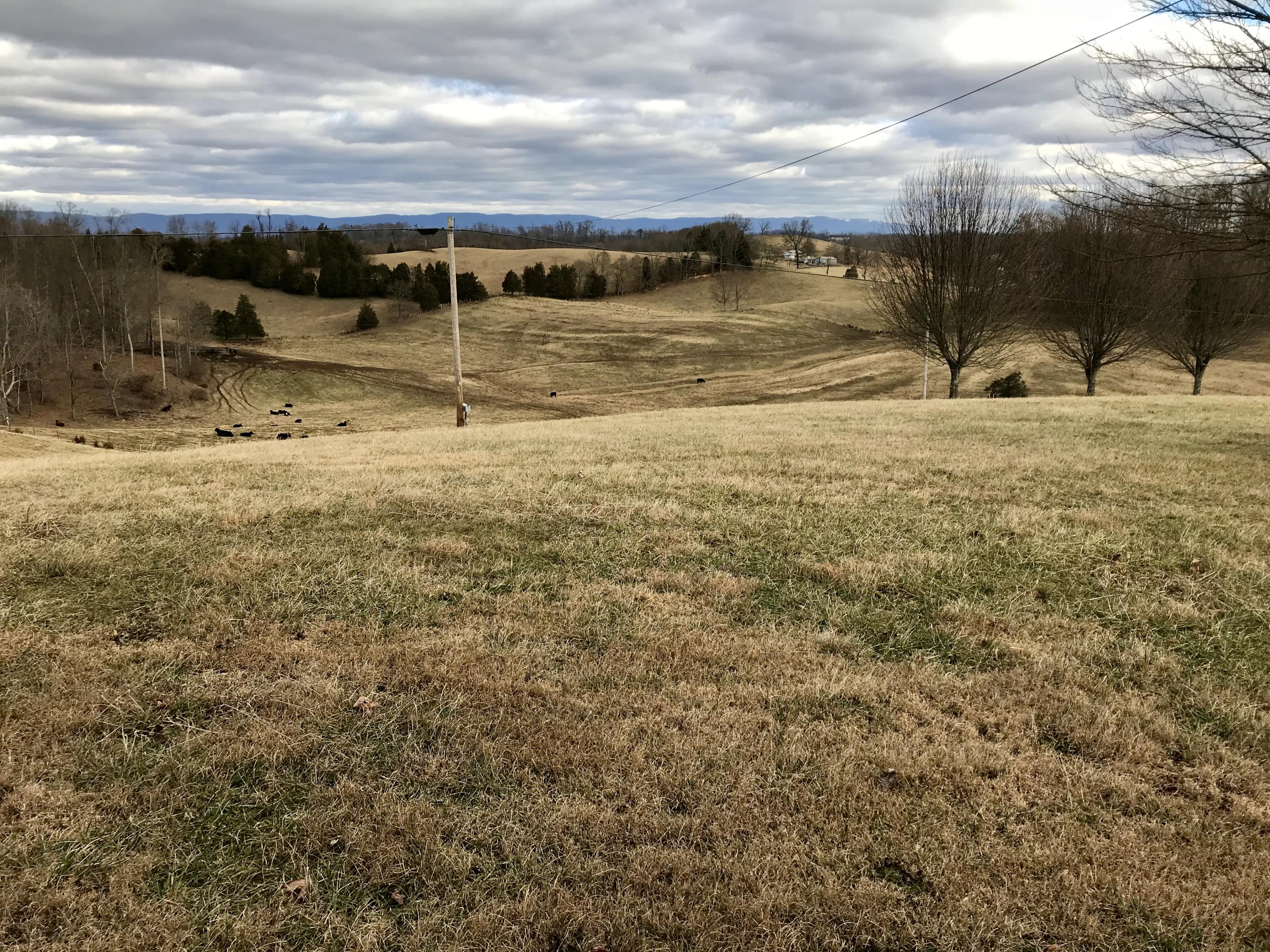 315 Cline Road Tazewell, TN 37879 - Photo 3 of 21 View from porch