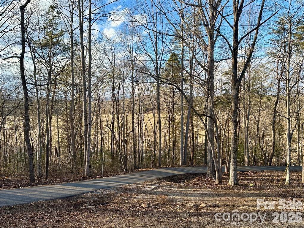 386 Groves Road Rutherfordton, NC 28139 - Photo 9 of 37