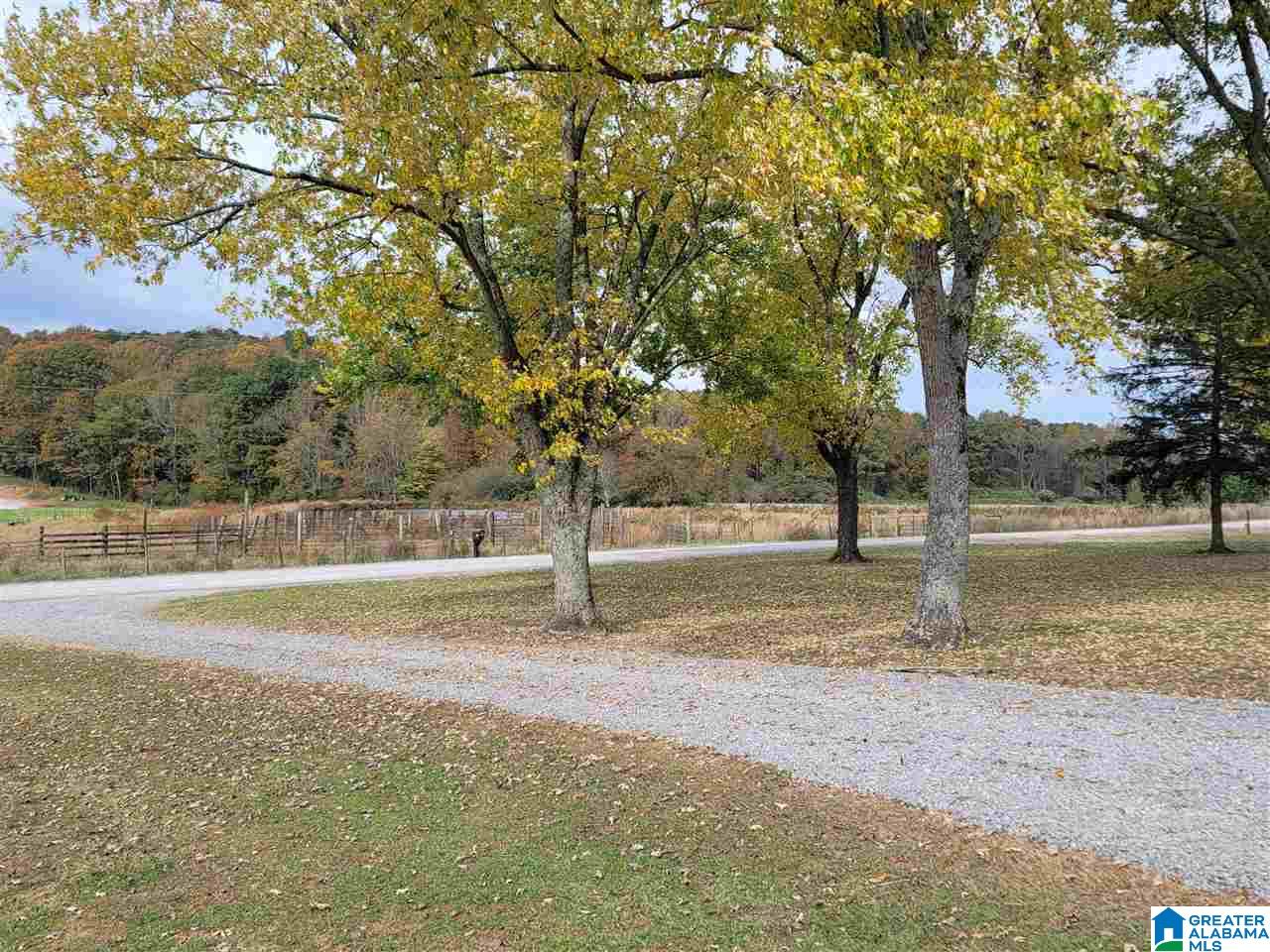 2182 Pitt Road Blountsville, AL 35031 - Photo 24 of 34