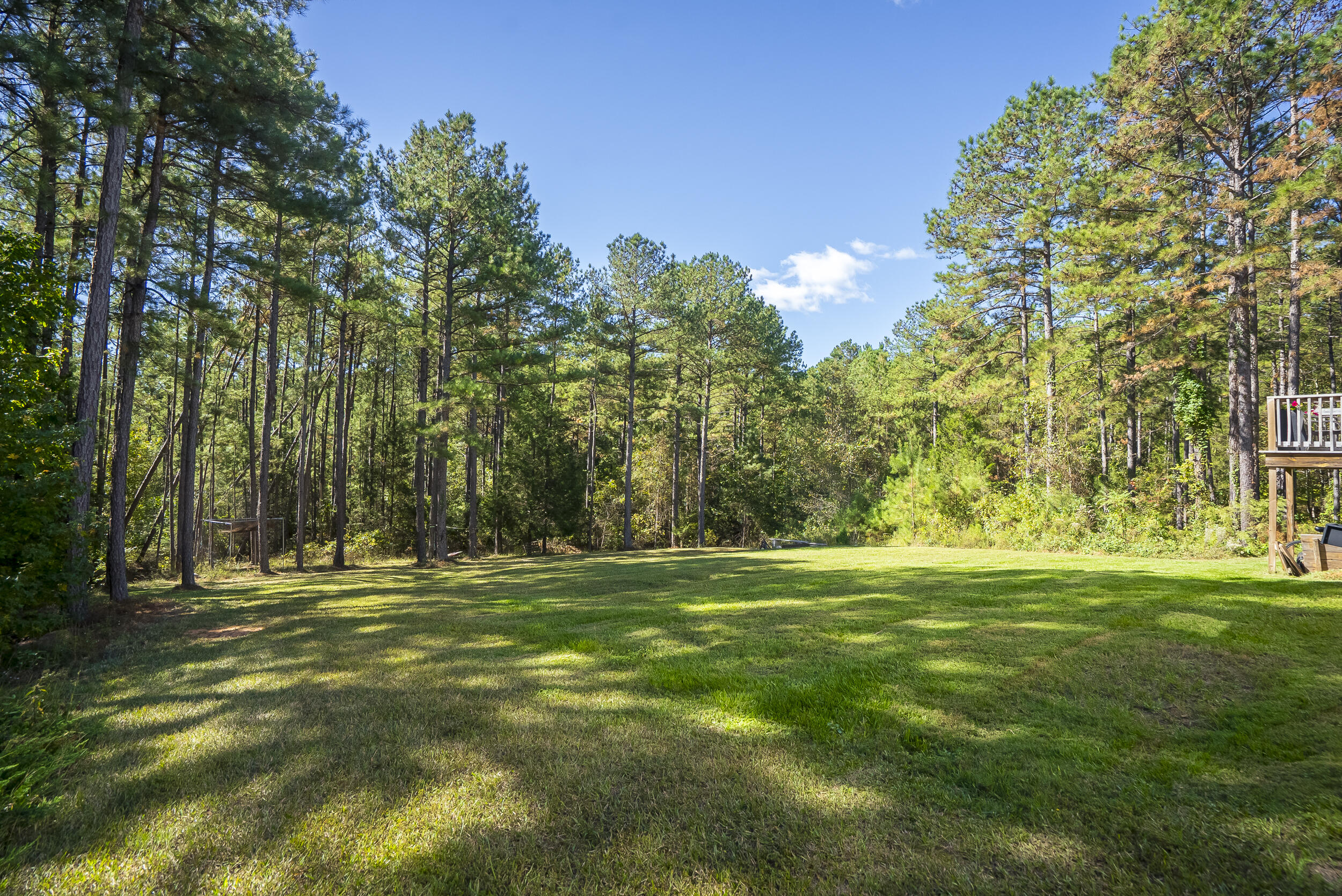 1355 Garrett Road Clarks Hill, SC 29821 - Photo 64 of 76 ©MeghannPadgett_1355GarrettRd-14