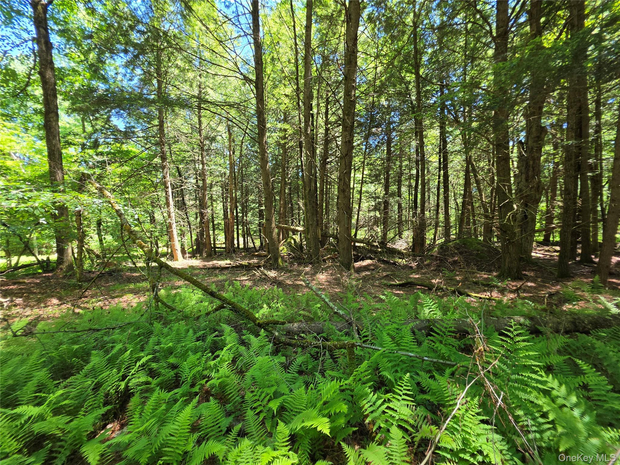 Tbd Camp Kennybrook Road Monticello, NY 12701 - Photo 7 of 34