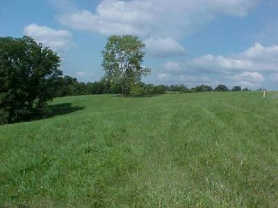 0 Barnes Road, Unit 5 Williamstown, KY 41097 - Photo 1 of 2 Gallery Image 1