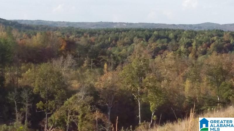 Lehigh Road, Unit 1 Warrior, AL 35180 - Photo 20 of 23