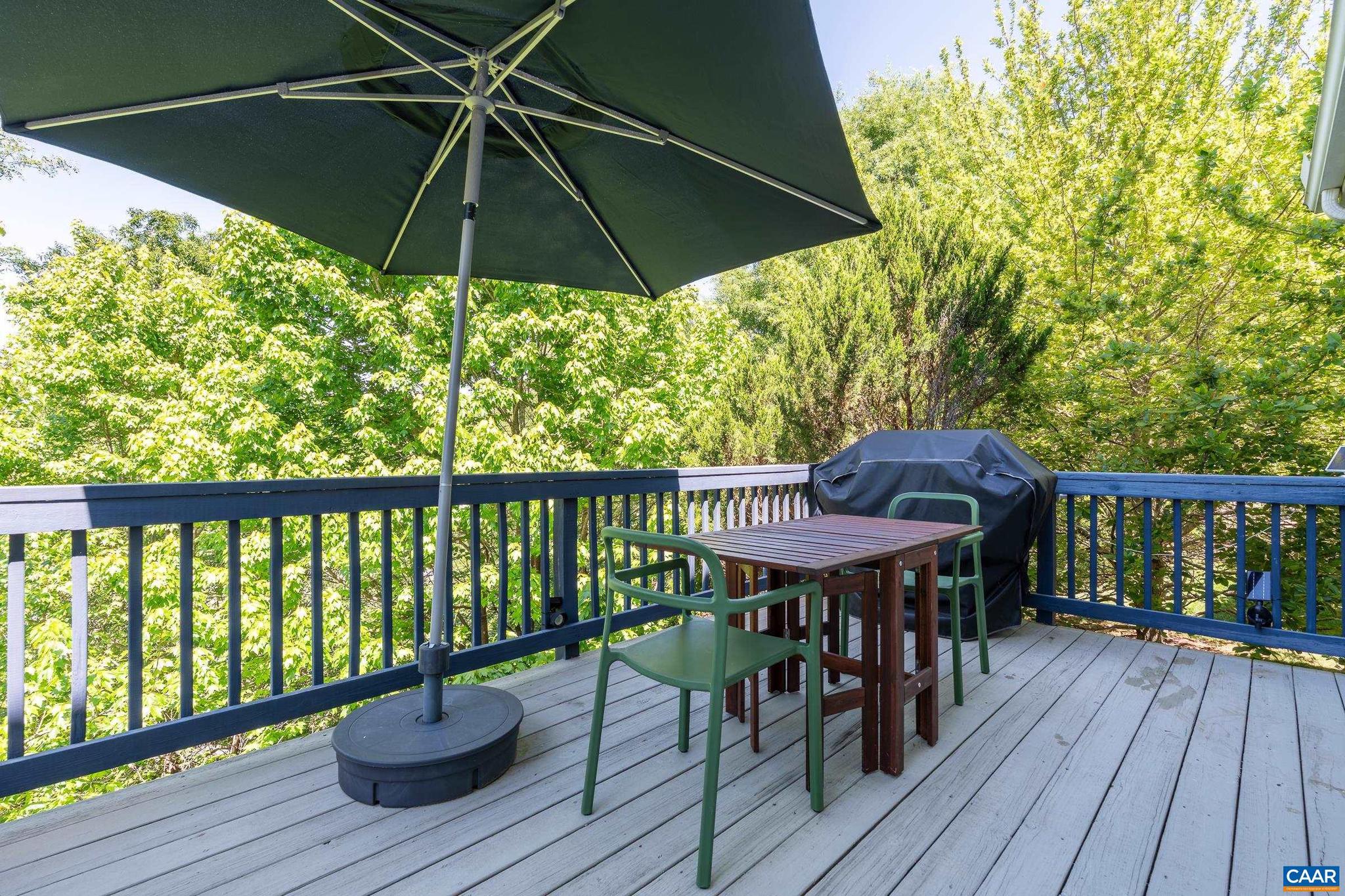 1021 Ridge Street Charlottesville, VA 22902 - Photo 45 of 46