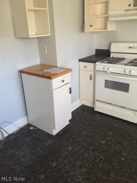 3046 East Overlook Road Cleveland, OH 44118 - Photo 10 of 16 Gallery Image 10