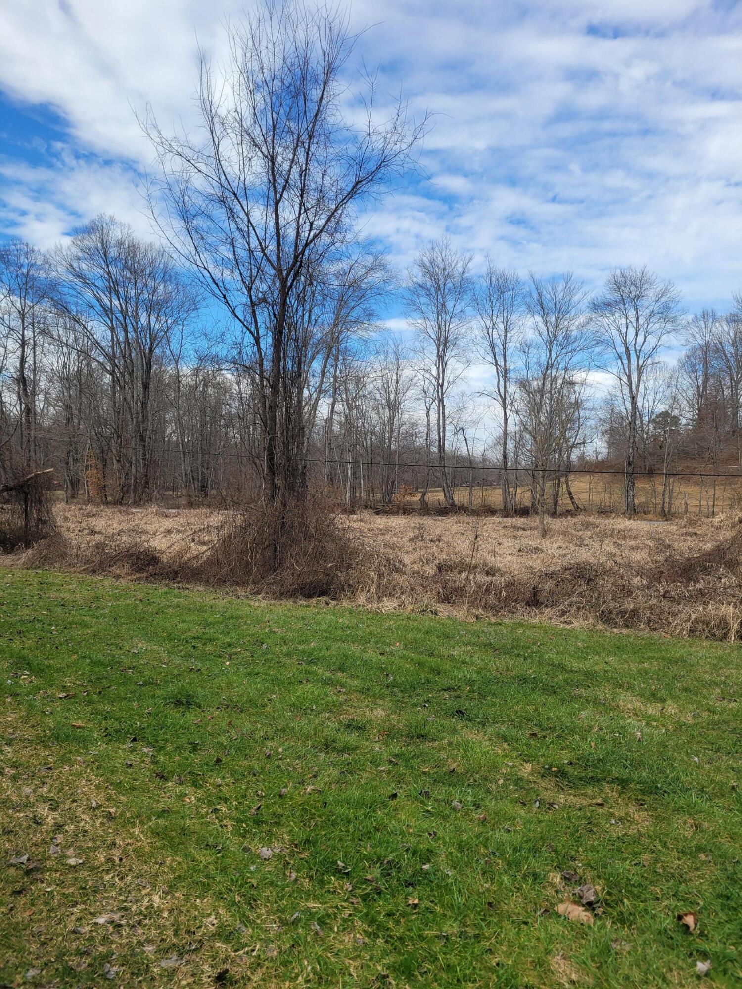 593 Prewitt Road Woodbine, KY 40771 - Photo 10 of 23 20240208_130712
