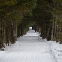 723 Gaskell Hill Road Burke, VT 05871 - Photo 38 of 40 Gallery Image 38