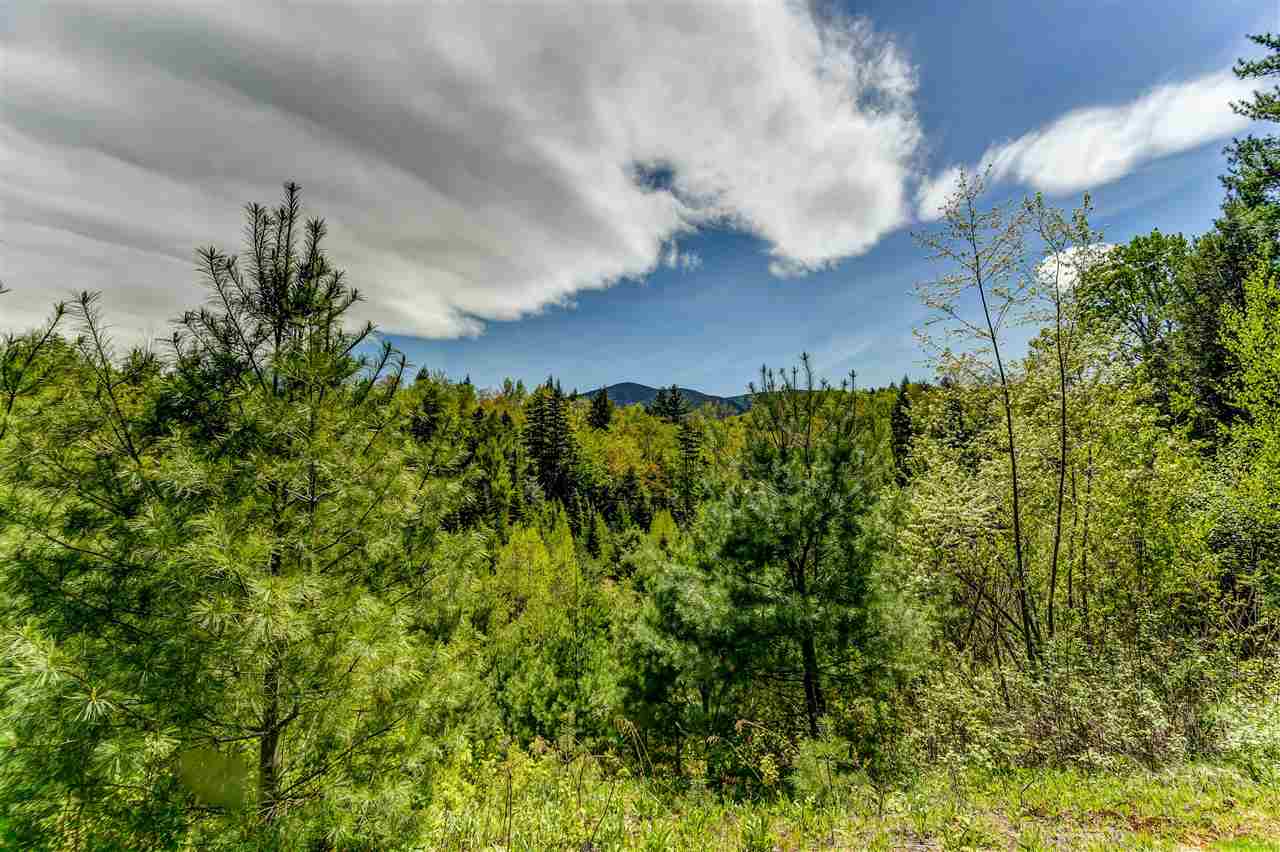 175 River Run Road Easton, NH 03580 - Photo 4 of 40