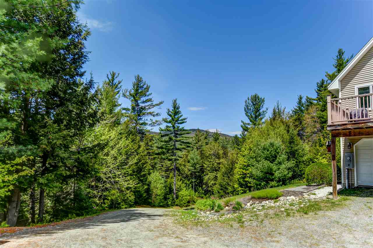 175 River Run Road Easton, NH 03580 - Photo 6 of 40