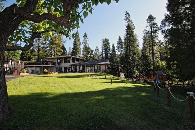 a view of a park with large trees