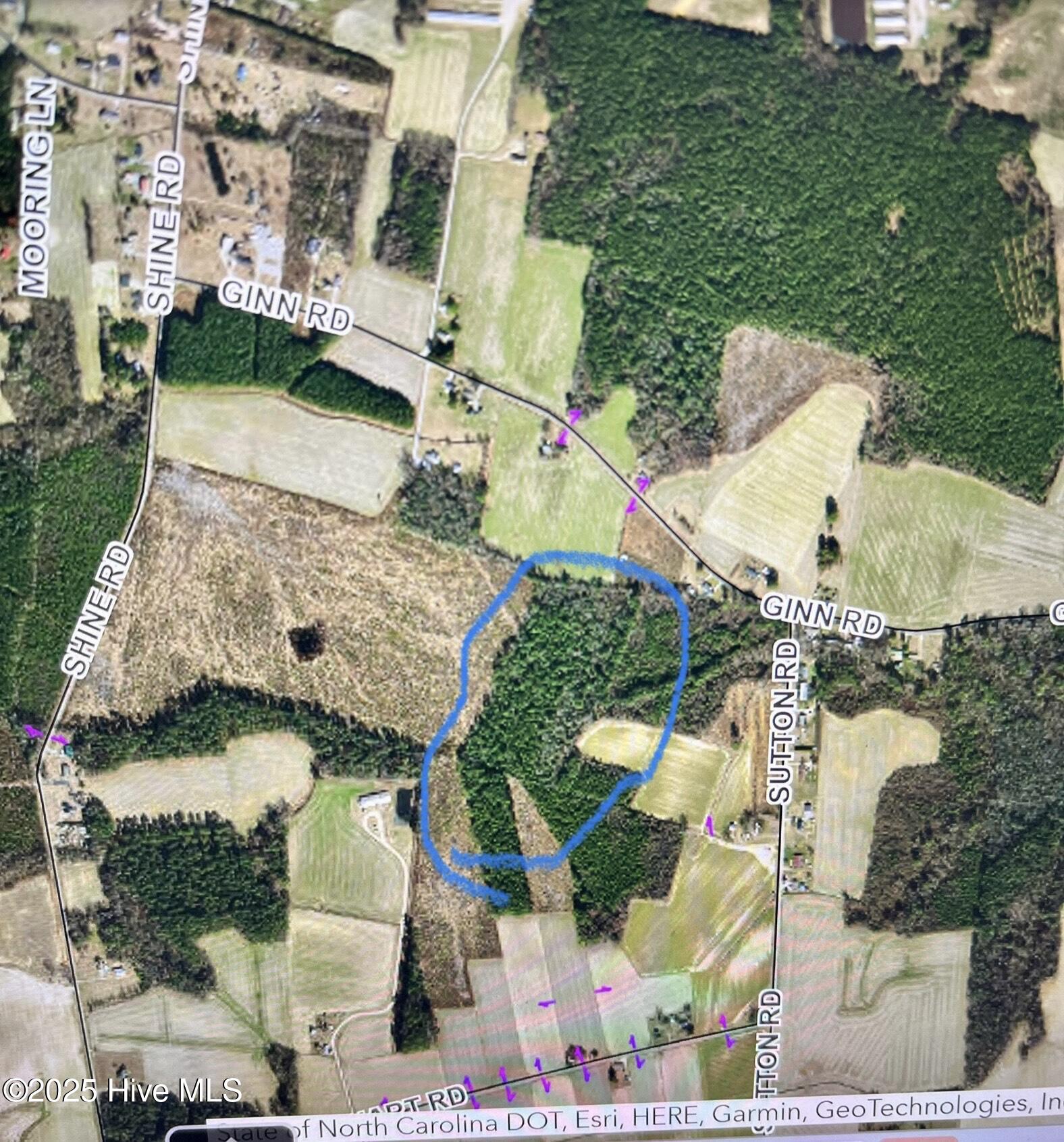 0 Sutton Road Snow Hill, NC 28580 - Photo 3 of 4 IMG_7966