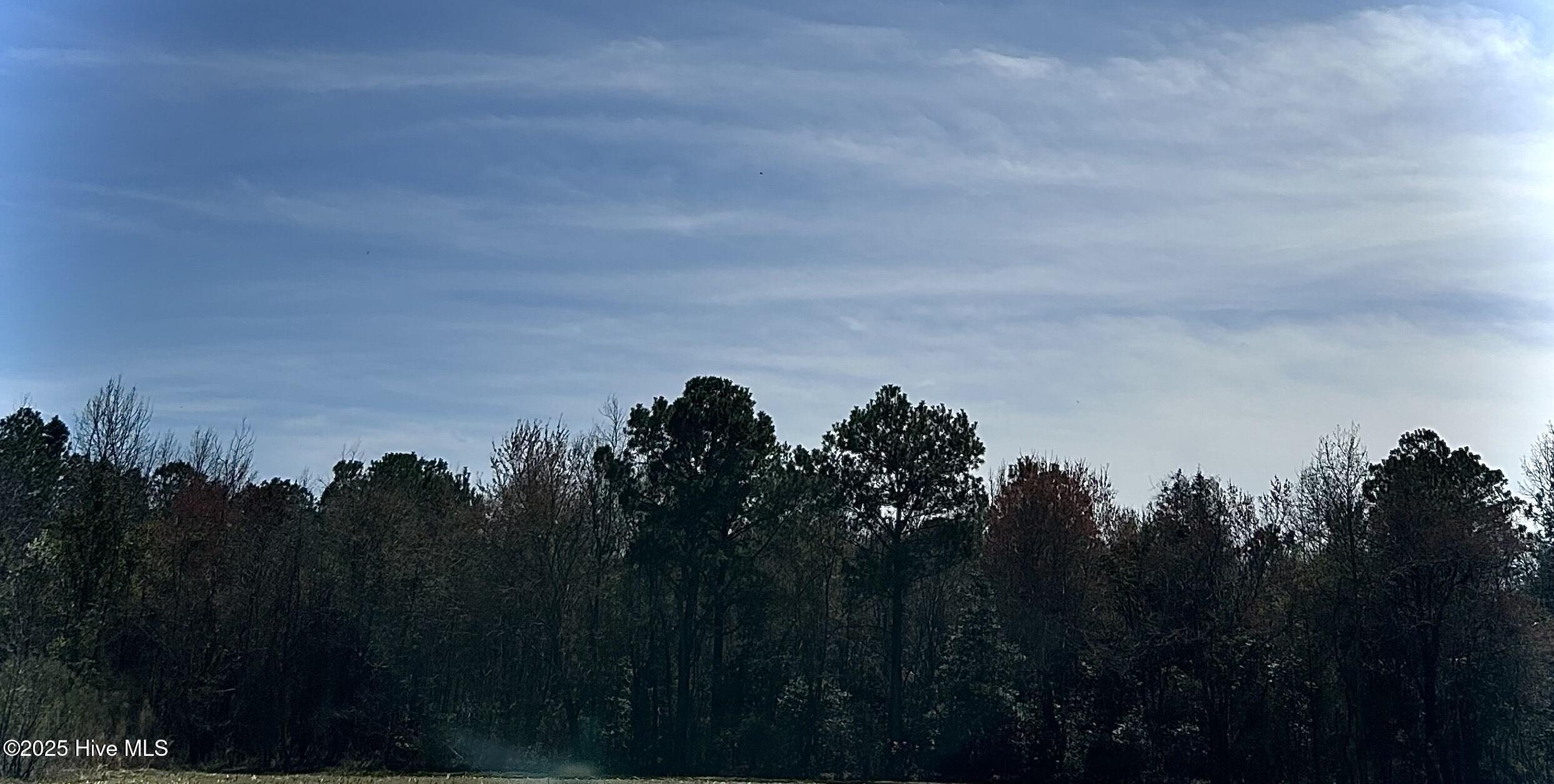 0 Sutton Road Snow Hill, NC 28580 - Photo 4 of 4 IMG_0561