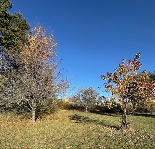 17535 18 Mile Road Leroy, MI 49655 - Photo 9 of 43 IMG_3010