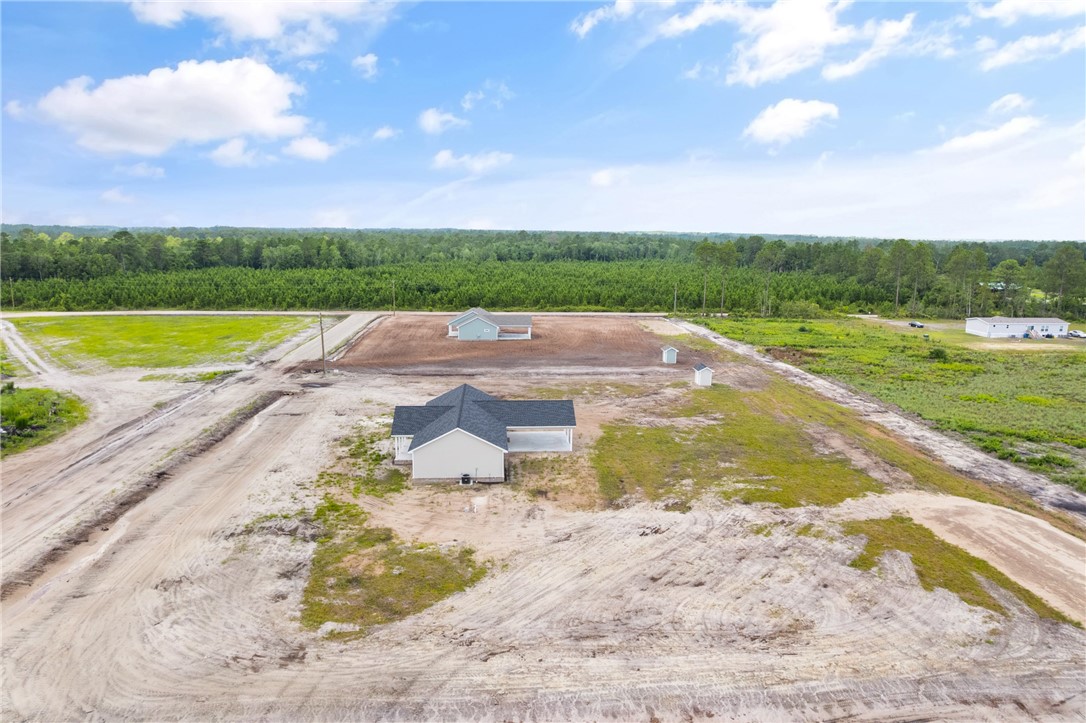 4432 Pembers Road Nahunta, GA 31553 - Photo 6 of 30