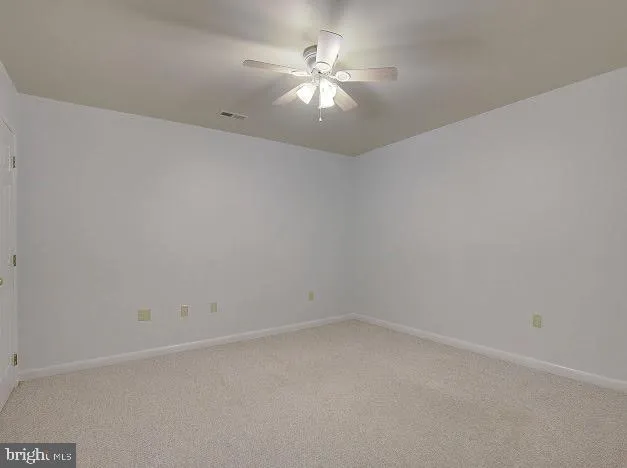 a view of a yard with trees