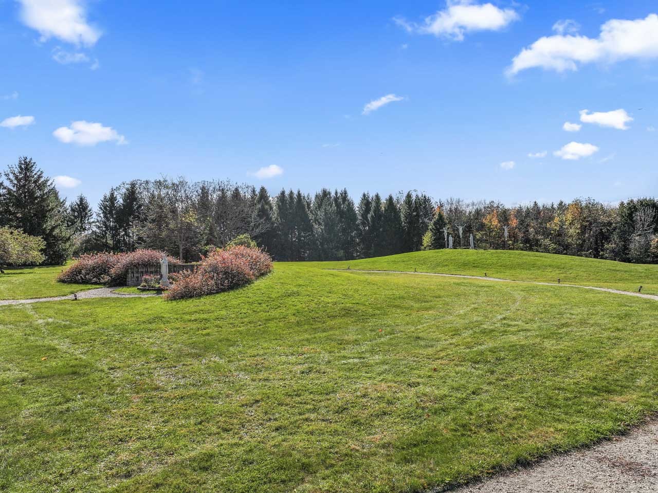 10330 336th Avenue Randall, WI 53181 - Photo 22 of 29 a view of a grassy field with trees in the background