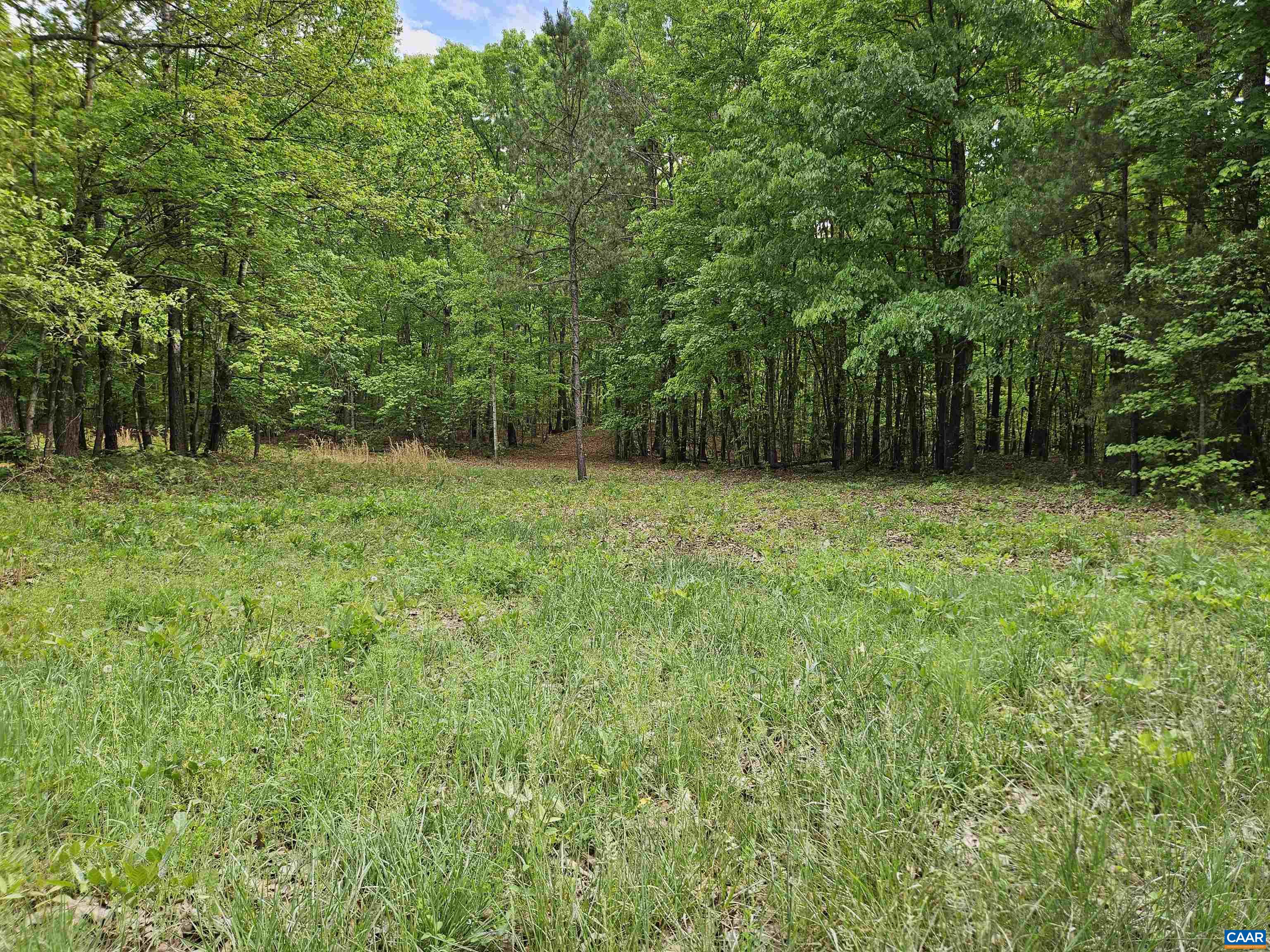 8.65-ac Pond Road Buckingham, VA 23921 - Photo 1 of 23 Gallery Image 1