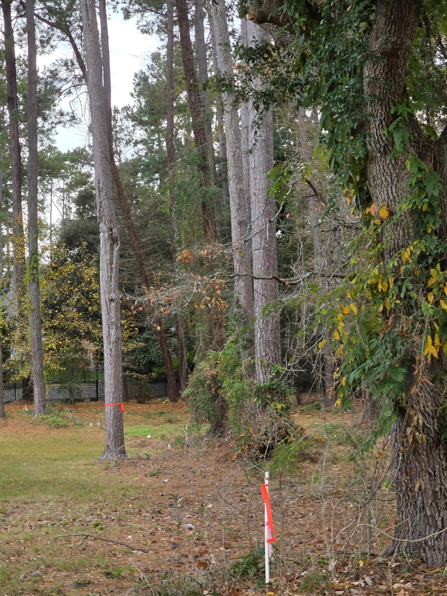 128 Cooper Circle, Unit 3 Santee, SC 29142 - Photo 11 of 24