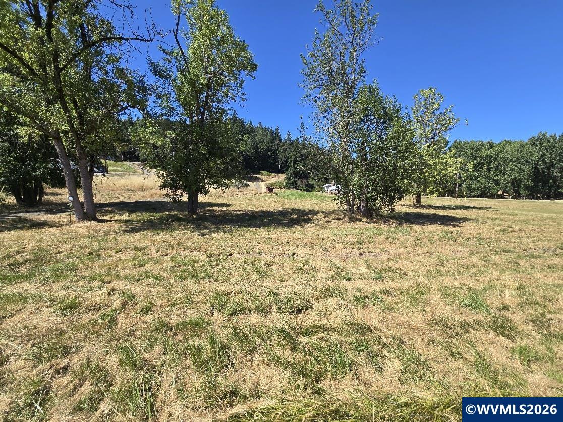 Lot 113 Knox Butte Road Albany, OR 97322 - Photo 12 of 13