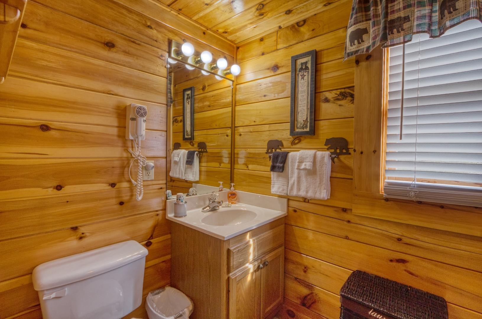 208 Moose Ridge Way Pigeon Forge, TN 37863 - Photo 14 of 17