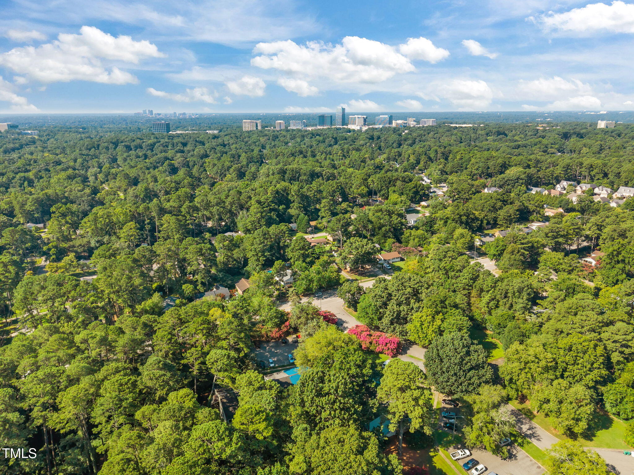 5024 Flint Ridge Place Raleigh, NC 27609 - Photo 42 of 46 Trees trees and more trees!