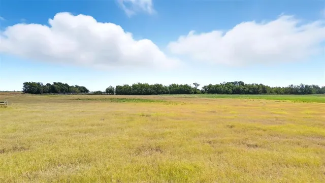 $120,000 | Lot 8 Kurkendall Road, Beasley, TX 77417