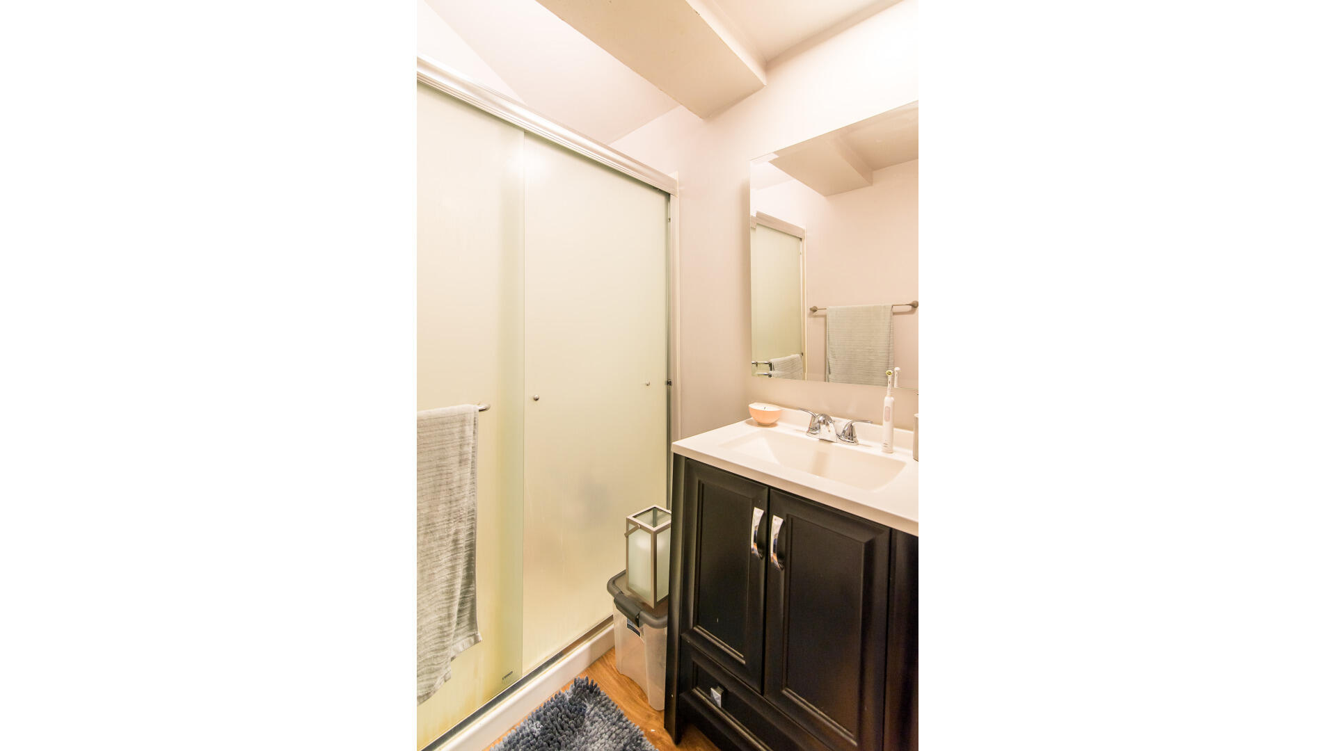 11291 East Shore Drive, Unit FRONT HOUSE Whitmore Lake, MI 48189 - Photo 14 of 16 016_22