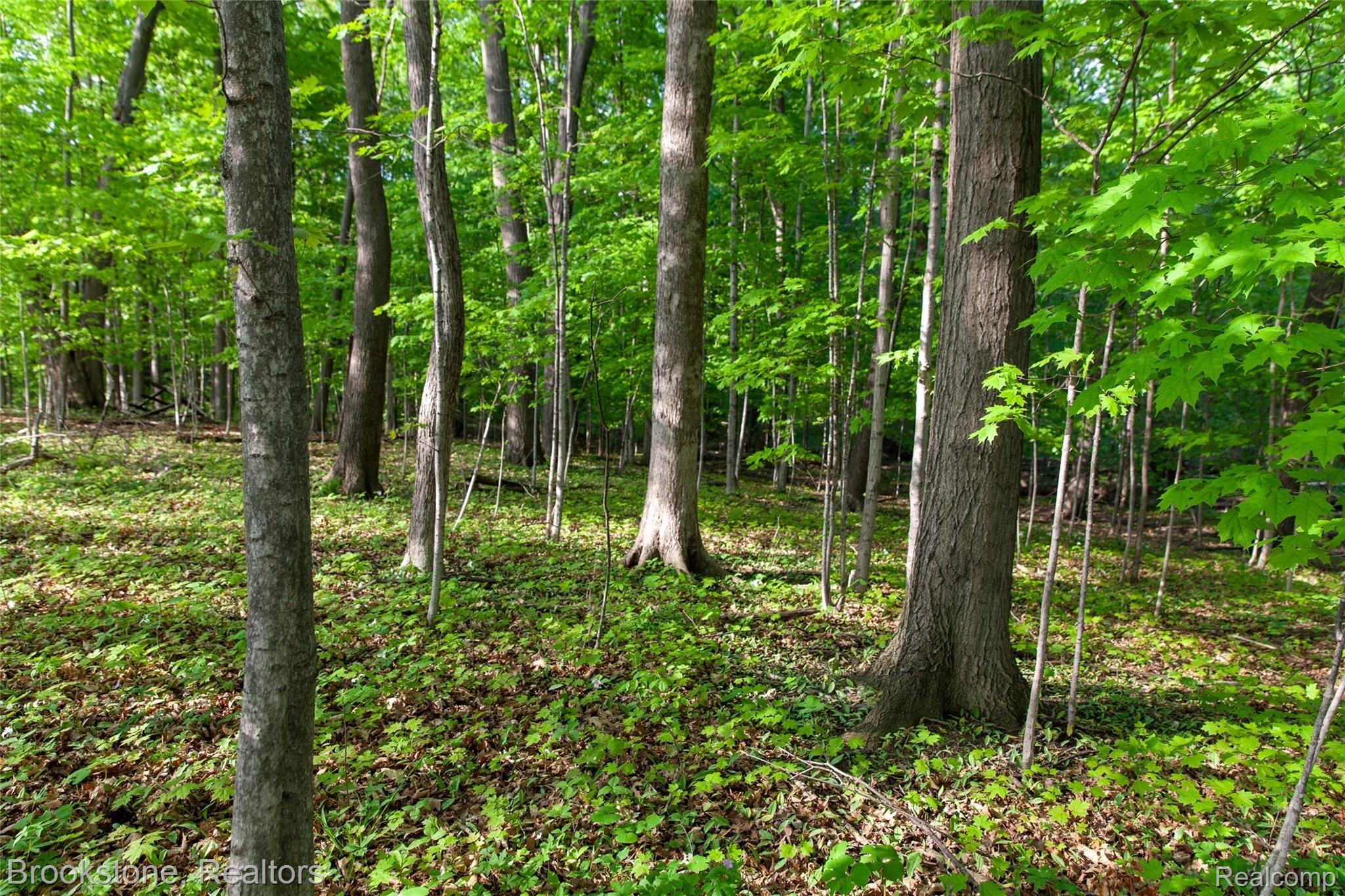 4592 Genesee Road Lapeer, MI 48446 - Photo 44 of 55 4592 Genesee edits-05.jpg