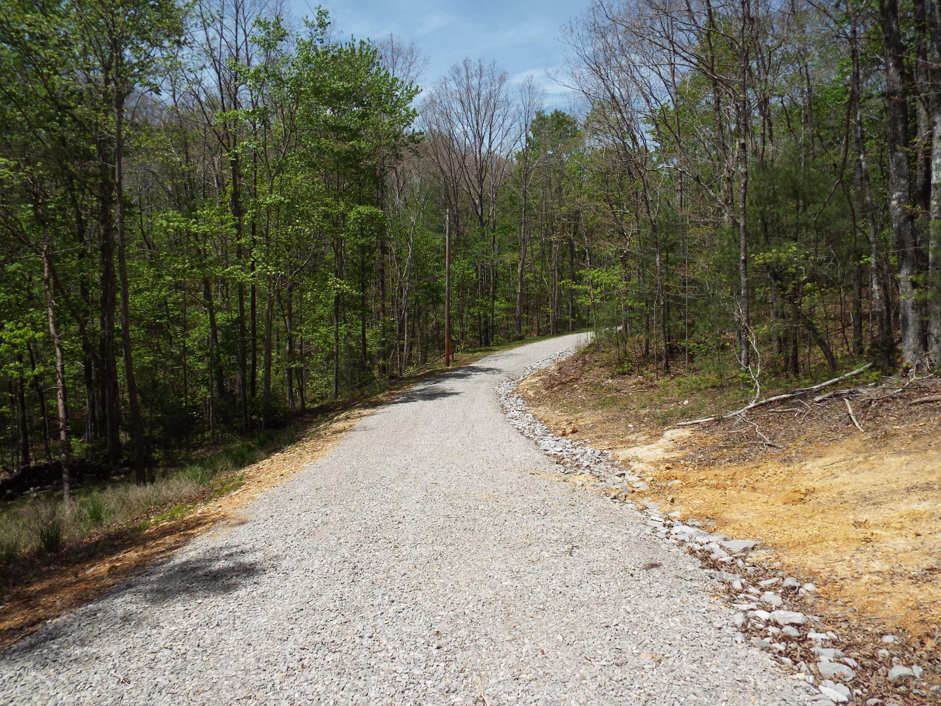 Lot 22 Emory Heights Road, Unit EMORY H Lancing, TN 37770 - Photo 14 of 19 DSCF4095
