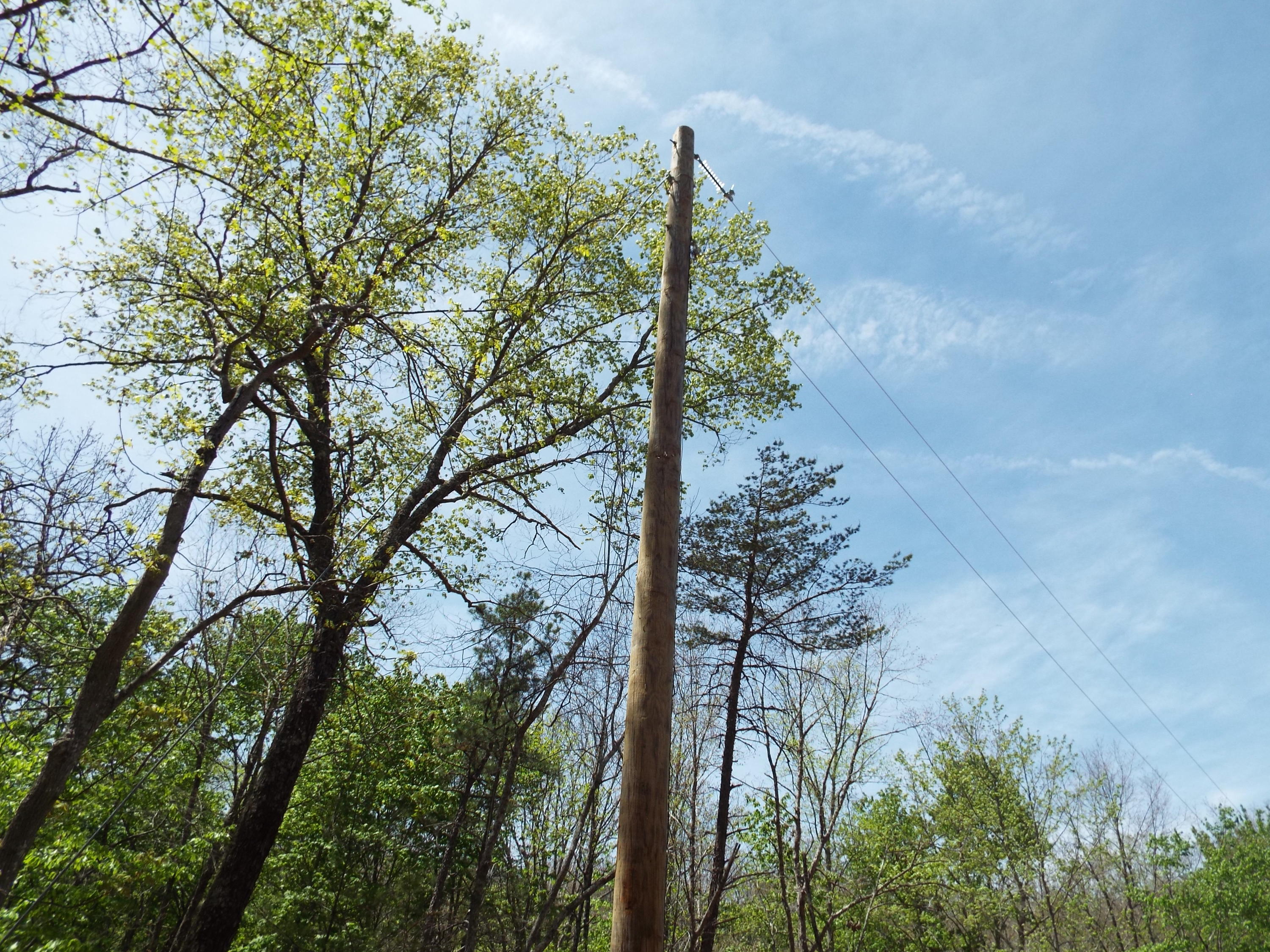 Lot 22 Emory Heights Road, Unit EMORY H Lancing, TN 37770 - Photo 15 of 19 DSCF4096