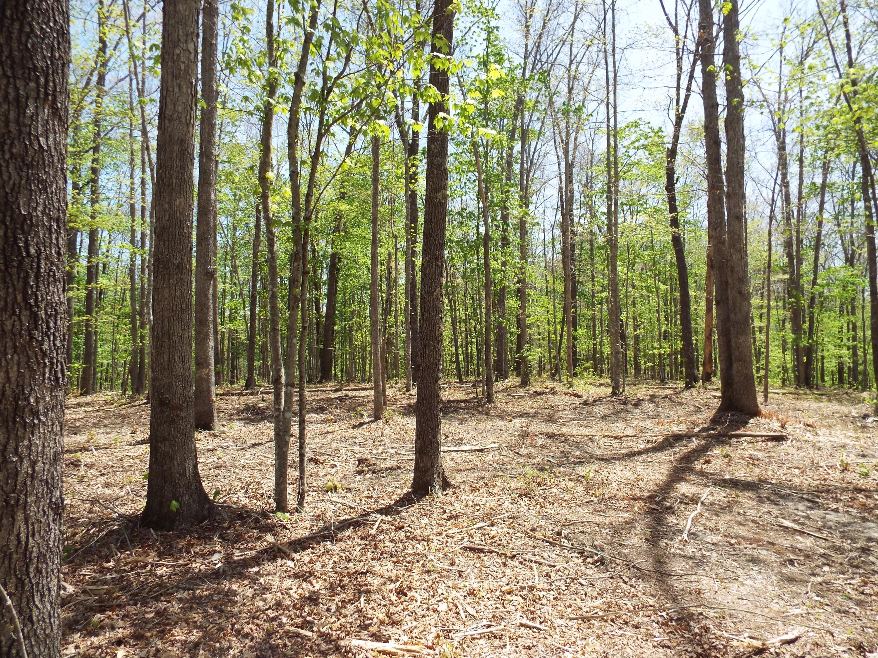 Lot 22 Emory Heights Road, Unit EMORY H Lancing, TN 37770 - Photo 17 of 19 DSCF4102