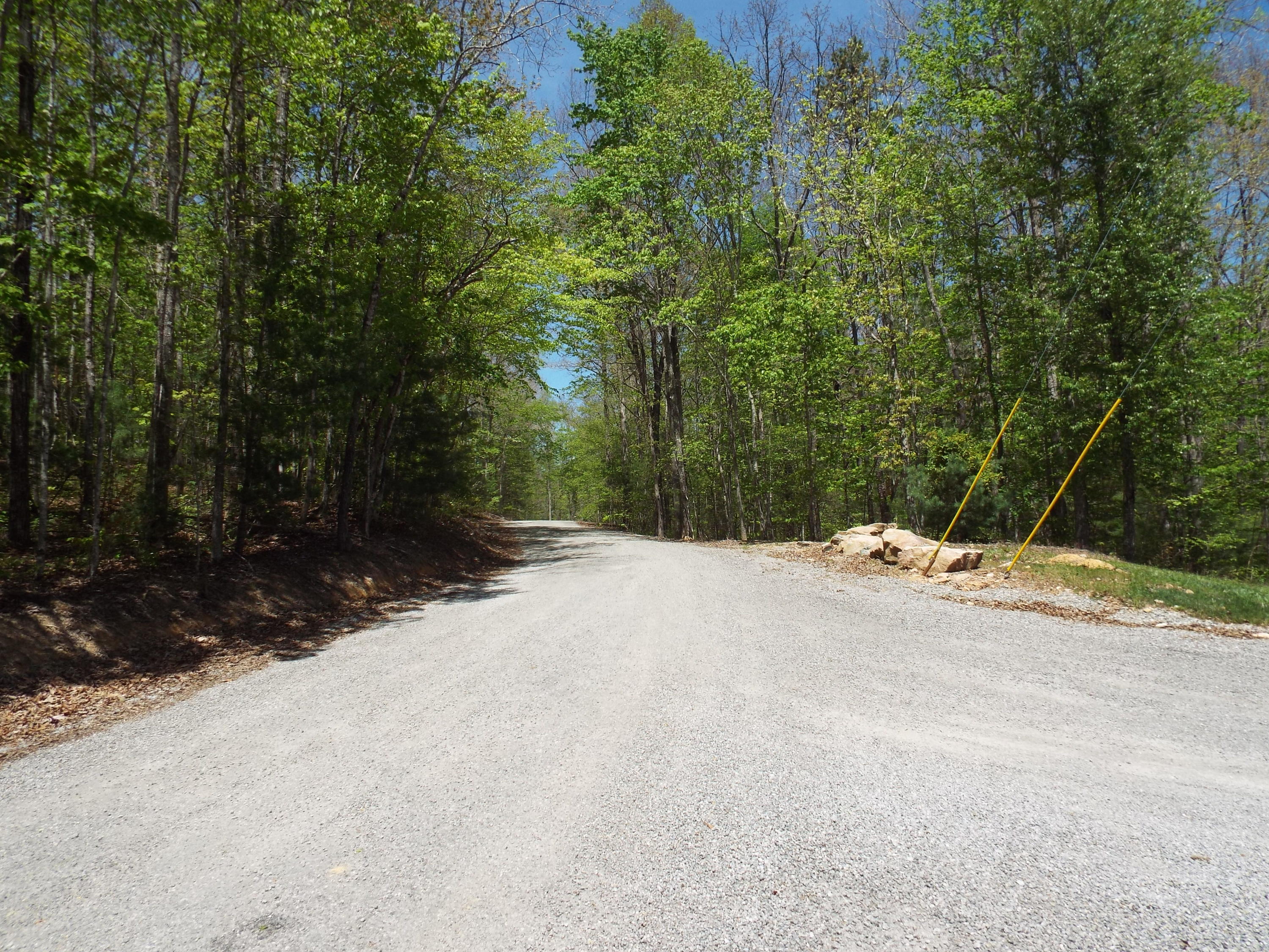 Lot 22 Emory Heights Road, Unit EMORY H Lancing, TN 37770 - Photo 19 of 19 DSCF4093