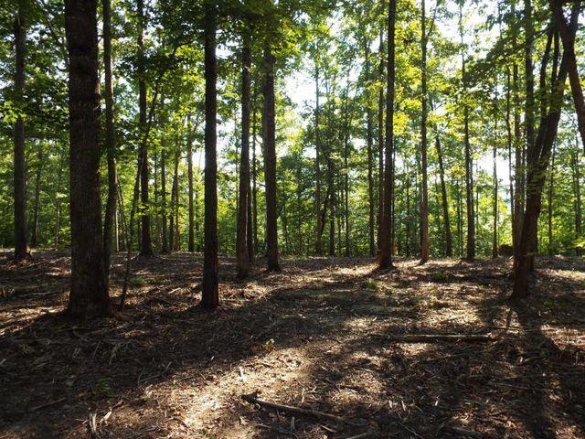 Lot 22 Emory Heights Road, Unit EMORY H Lancing, TN 37770 - Photo 3 of 19 20180924193254516363000000-o
