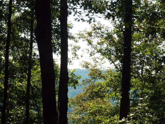 Lot 22 Emory Heights Road, Unit EMORY H Lancing, TN 37770 - Photo 7 of 19 20180924193308601736000000-o