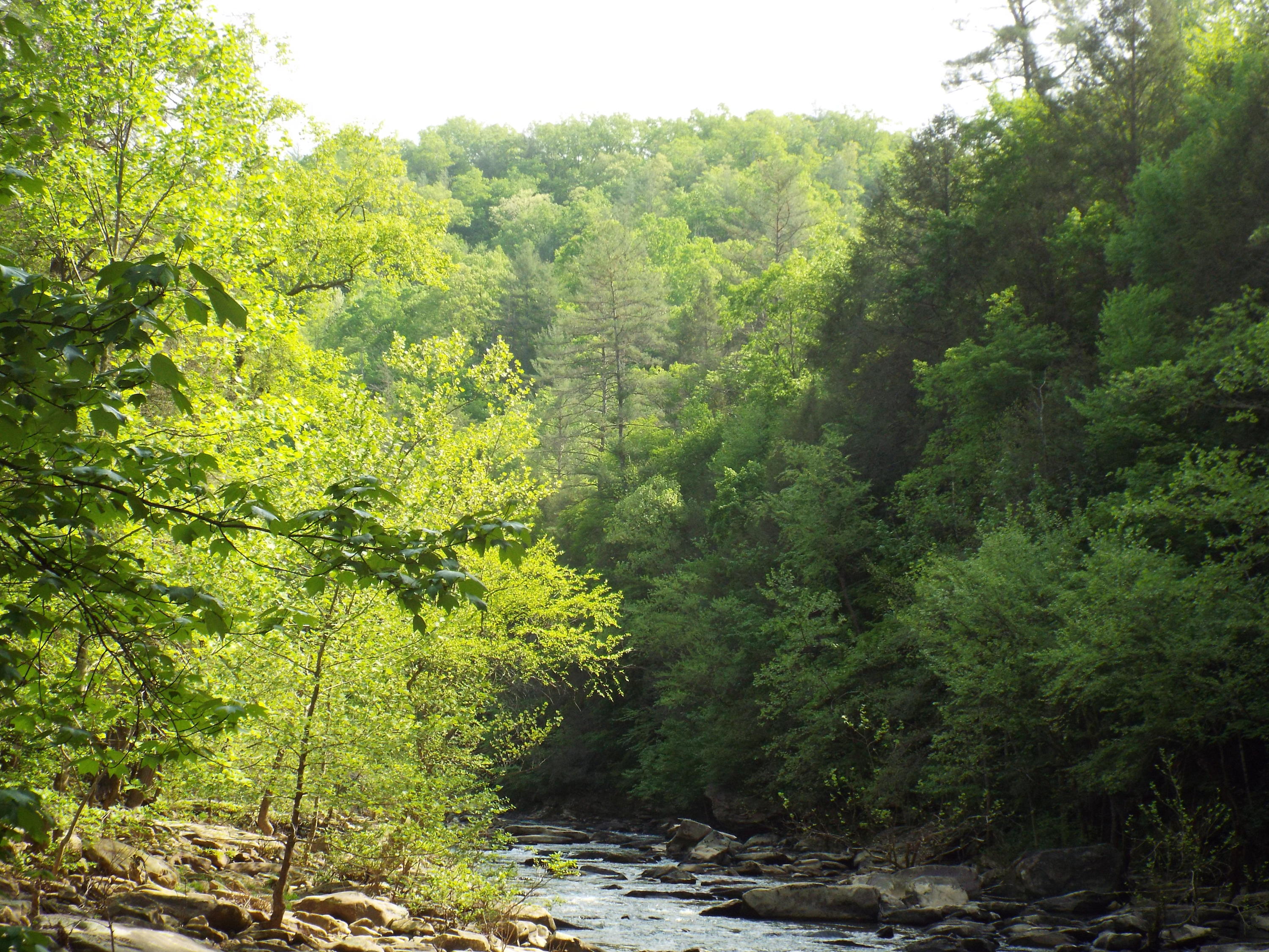 Lot 22 Emory Heights Road, Unit EMORY H Lancing, TN 37770 - Photo 10 of 19 DSCF3140