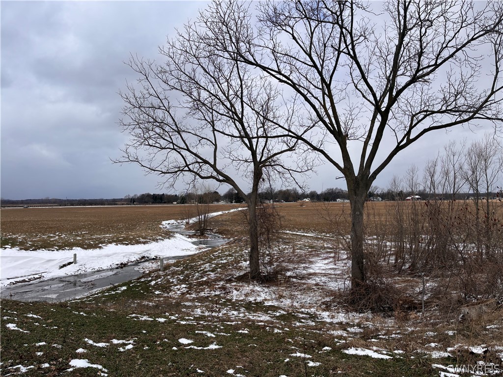 Ridge Road Ransomville, NY 14131 - Photo 11 of 27 View from front yard