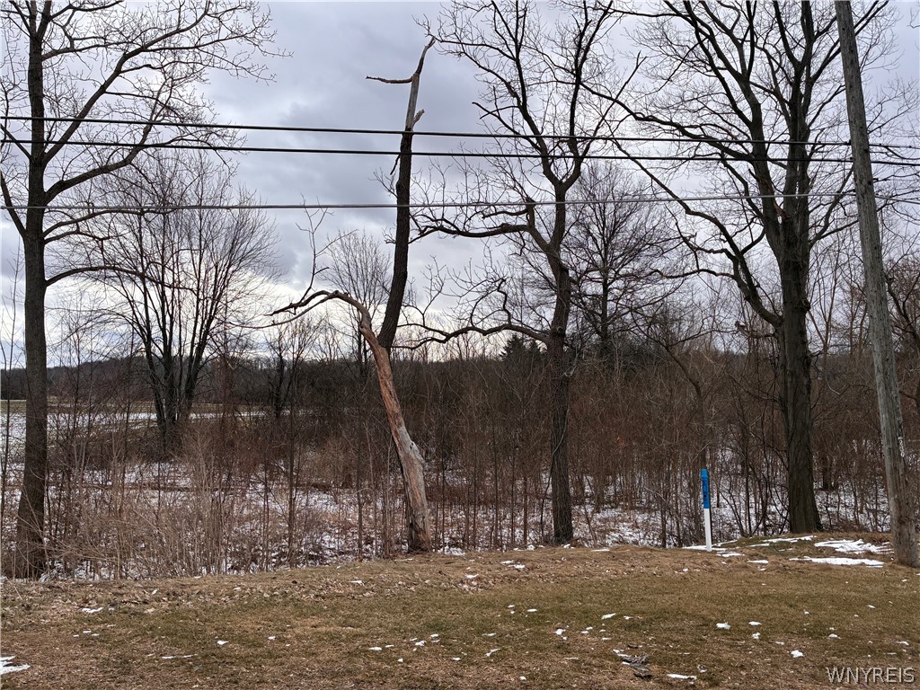 Ridge Road Ransomville, NY 14131 - Photo 12 of 27