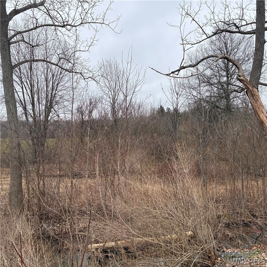 Ridge Road Ransomville, NY 14131 - Photo 14 of 27