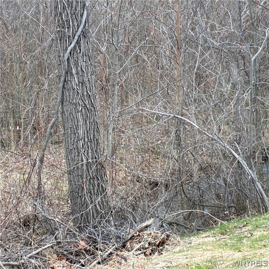 Ridge Road Ransomville, NY 14131 - Photo 15 of 27