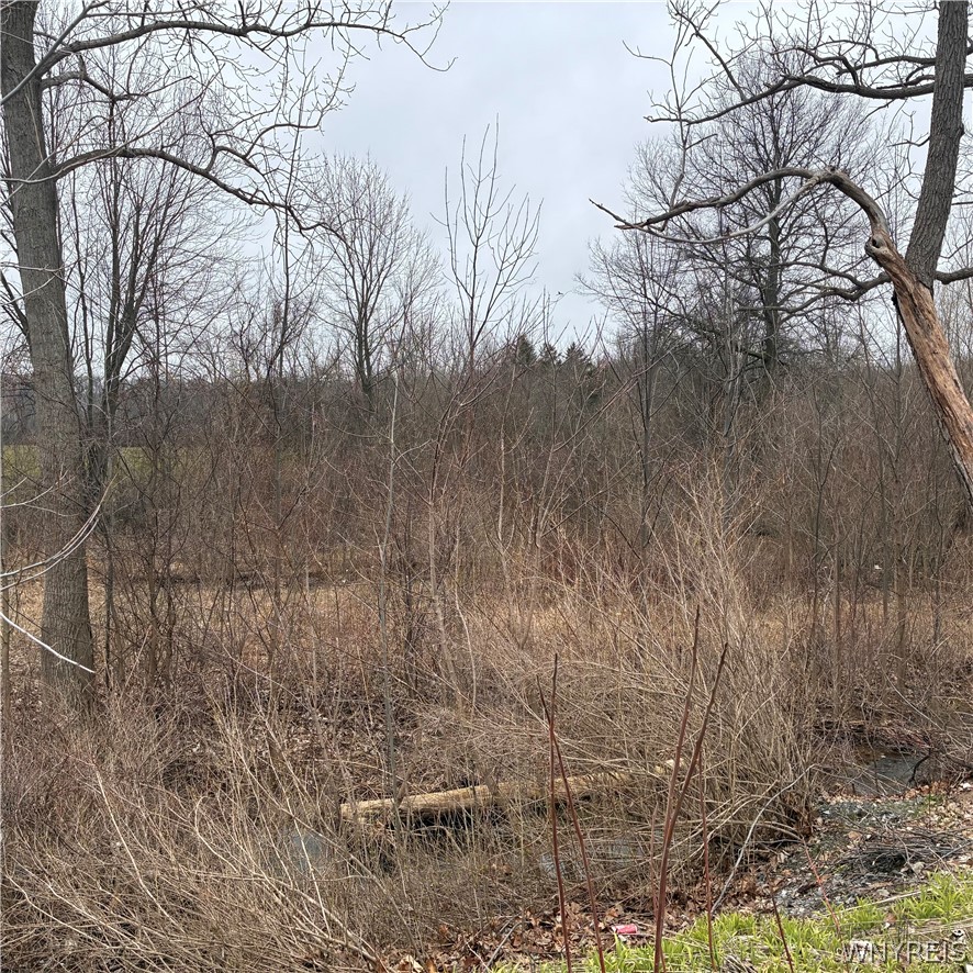 Ridge Road Ransomville, NY 14131 - Photo 16 of 27