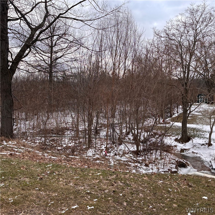 Ridge Road Ransomville, NY 14131 - Photo 17 of 27