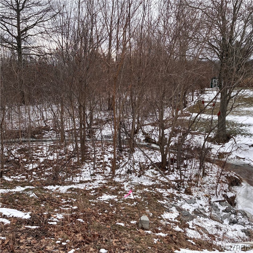 Ridge Road Ransomville, NY 14131 - Photo 19 of 27