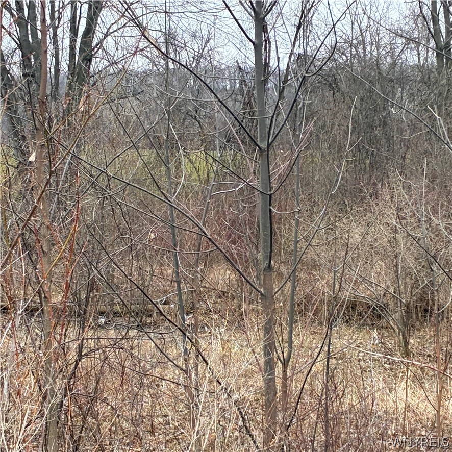 Ridge Road Ransomville, NY 14131 - Photo 2 of 27