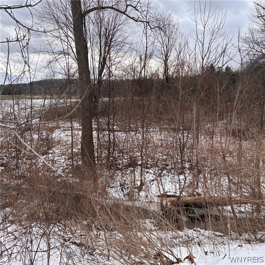 Ridge Road Ransomville, NY 14131 - Photo 21 of 27